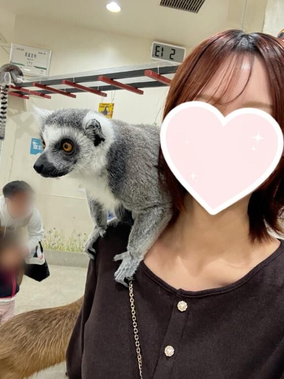 おさるさん♪