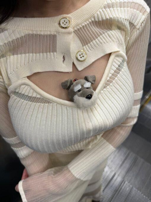 シュナウザー?